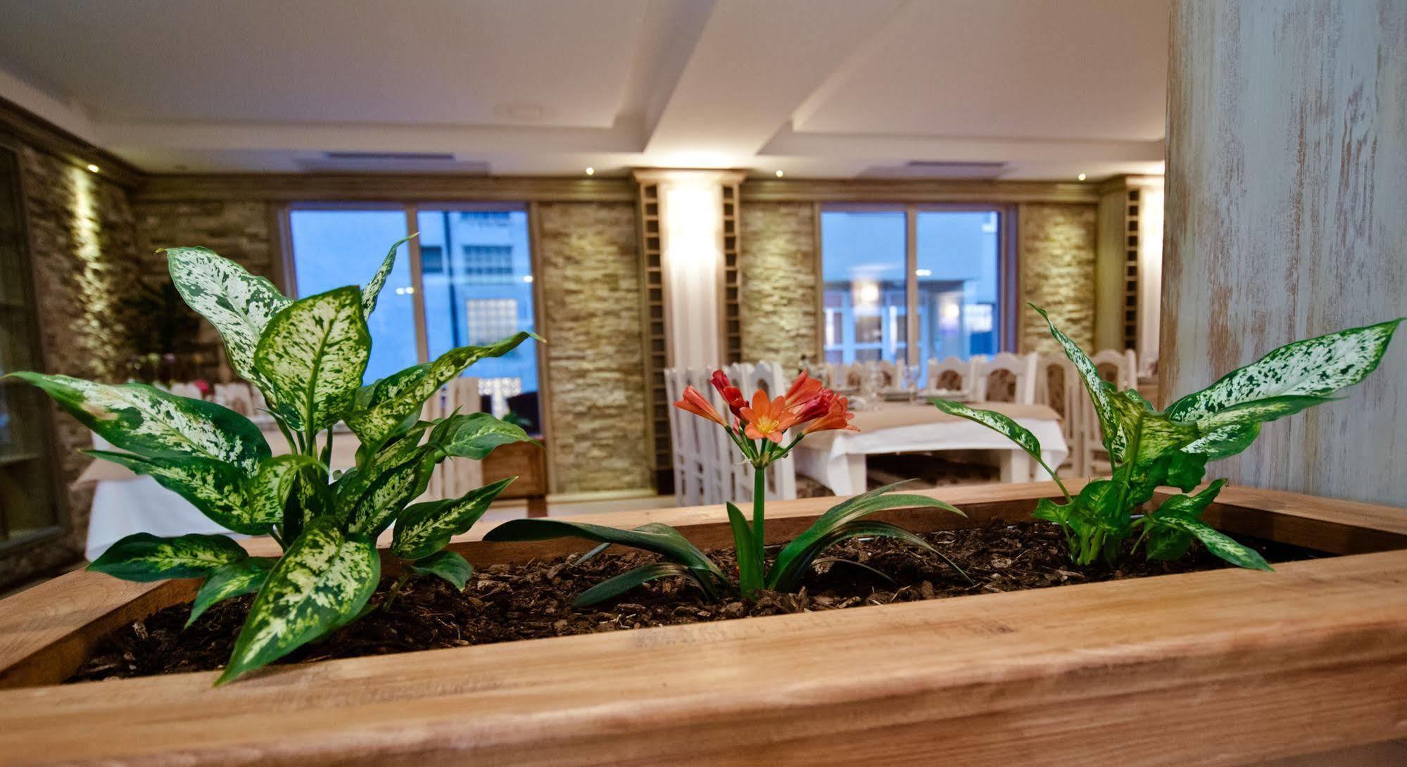 Wine Hotel Cesarica Međugorje Εξωτερικό φωτογραφία