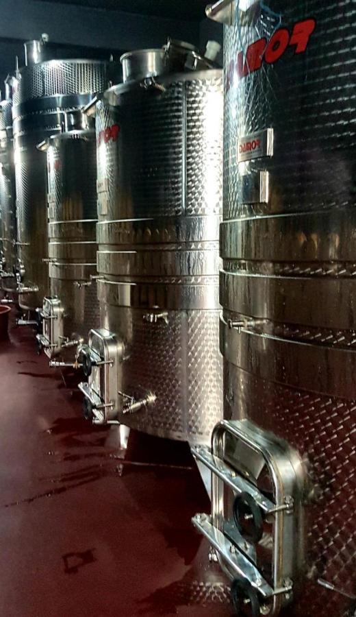 Wine Hotel Cesarica Međugorje Εξωτερικό φωτογραφία